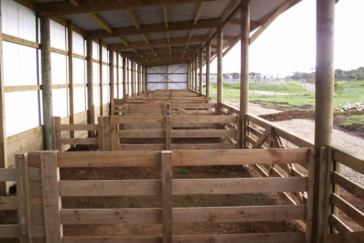 Leanto calving shed